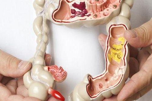 Rượu và một số sự thật khiến bạn kinh ngạc