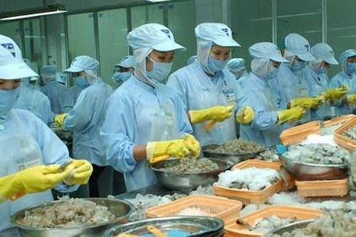 Vi phạm ATTP: Nhiều lô hàng thủy sản bị trả về