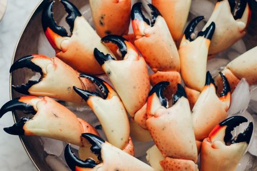 Thưởng thức càng cua đá đắt đỏ