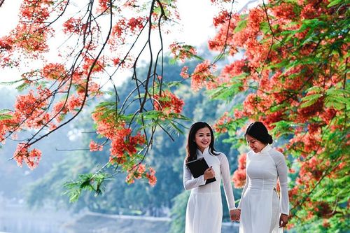Những loài hoa biểu tượng ở các địa phương