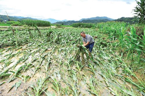 Thảm họa thiên nhiên đe dọa ngành nông nghiệp