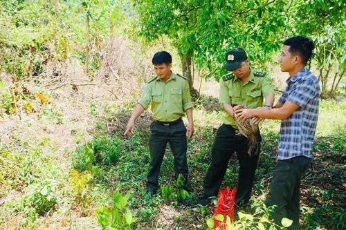 Thả 17 loài động vật hoang dã về rừng