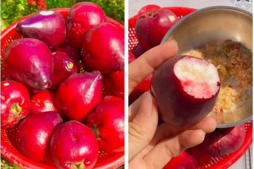 Các loại trái cây độc lạ được nhiều người dân miền Tây yêu thích