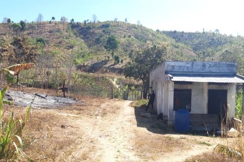 Chật vật mưu sinh, Y Cảnh vẫn muốn tới trường