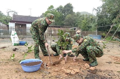 Giúp dân trồng hơn 200 cây trà hoa vàng phát triển kinh tế
