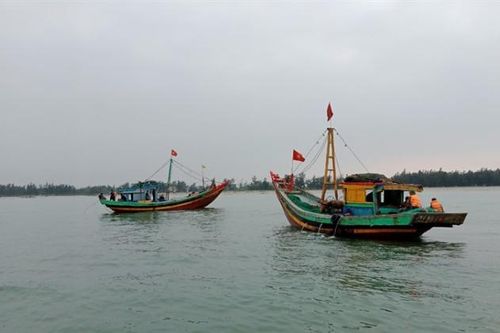 Xử nghiêm nhiều tàu cá vi phạm Luật Thủy sản tại Nghệ An, Hà Tĩnh