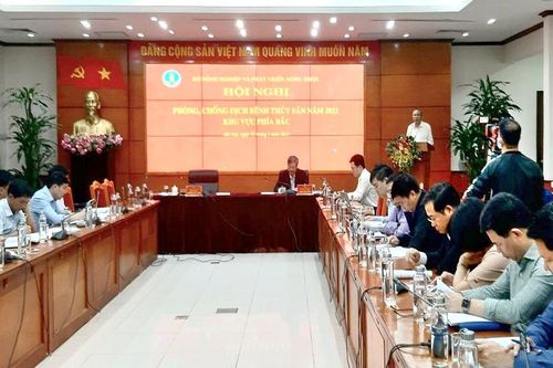 Sắp có Kế hoạch Quốc gia về Phòng chống dịch bệnh trên thủy sản