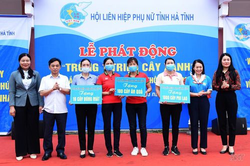 Phụ nữ Hà Tĩnh phát động 'trồng 1 triệu cây xanh'