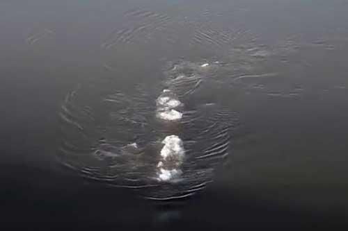 Quái vật hồ Loch Ness di cư đến Alaska, Mỹ?
