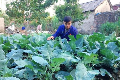 Hiện tượng mạng Lệ Rơi sau 7 năm nổi tiếng: Rời bỏ sự hào nhoáng trở về cuộc sống ao vườn