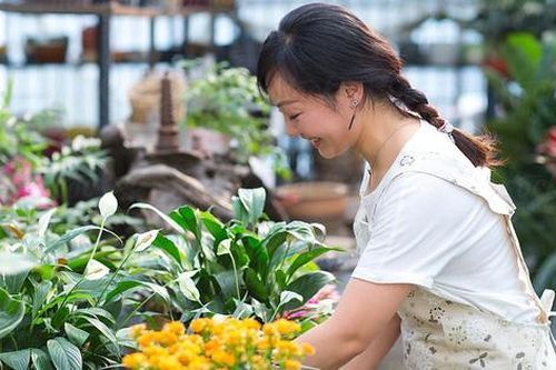 Hoa dại, hoa quê đắt hàng trên phố