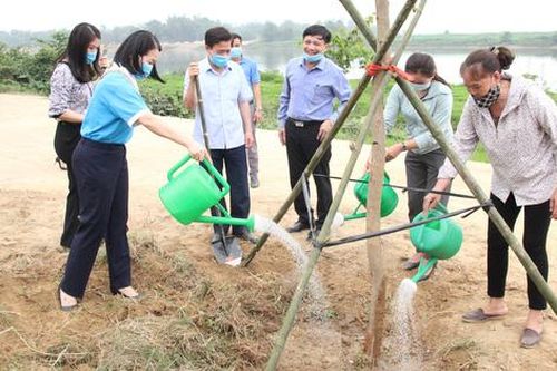 Hà Tĩnh: Phụ nữ phát động 'trồng 1 triệu cây xanh'
