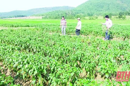 Huyện Nông Cống thiết thực đưa nghị quyết vào cuộc sống