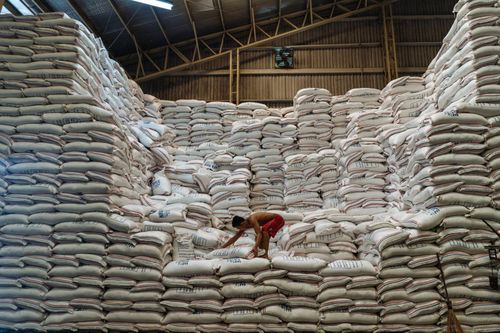 Bangladesh mở thầu mua 50.000 tấn gạo, đẩy mạnh nhập khẩu gạo trong thời gian tới