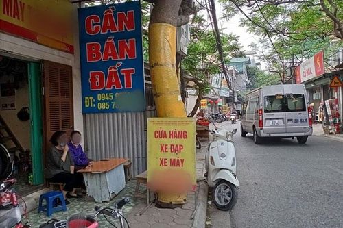 Cẩn trọng với ''sốt'' đất ven sông Hồng