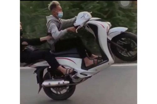 Xử phạt hai thanh niên bốc đầu xe máy SH