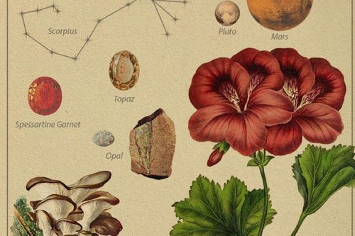 Lắng nghe thông điệp từ vũ trụ, khám phá biểu tượng thú vị về các chòm sao (Phần 2)