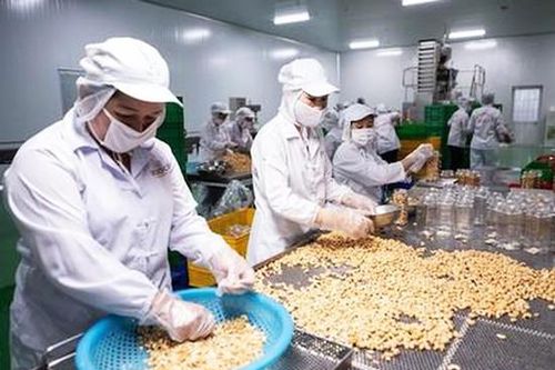 Đấu giá hơn 1,6 triệu cổ phần lần đầu ra công chúng của Công ty Lương thực Lương Yên