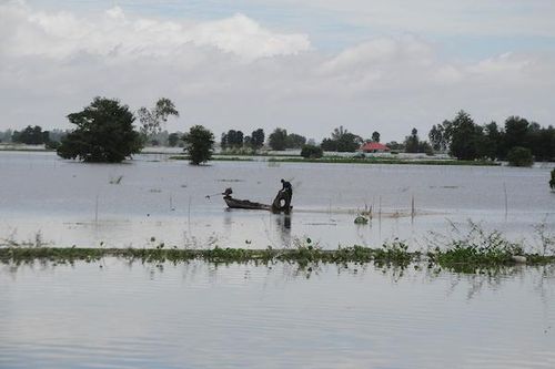 Theo dõi dòng chảy sông Mekong để điều hành sản xuất ở ĐBSCL