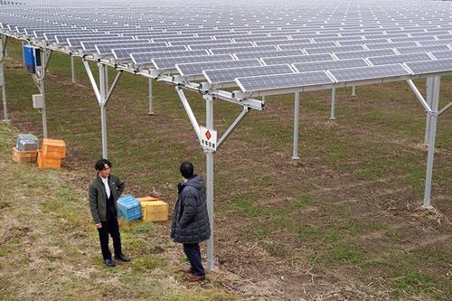 Nỗ lực hồi sinh từ thảm họa kép