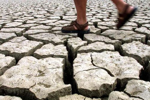 Năm 2100, mùa hè có thể kéo dài đến nửa năm