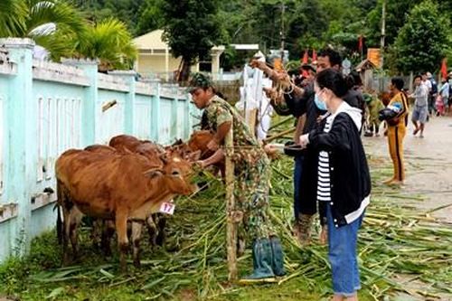Chủ động, nhạy bén, sắc sảo trong tham mưu, chỉ đạo, hướng dẫn