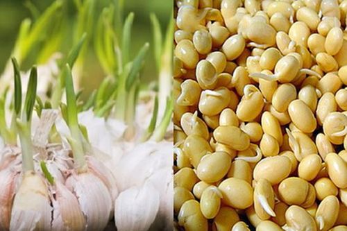 2 thực phẩm mọc mầm tăng gấp đôi dinh dưỡng, loại thứ 3 cần tránh