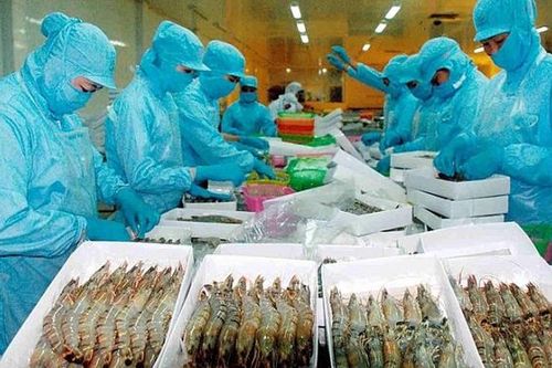 Việt Nam trở thành đối tác cung cấp thủy sản lớn thứ 4 cho Nhật Bản
