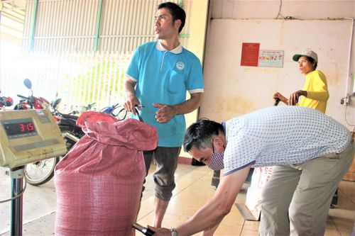 Kỳ lạ, nông dân mua lại hồ tiêu của đại lý đầu cơ giữa lúc giá nhảy múa
