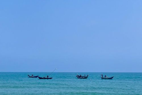 Ngư dân bỏ túi tiền triệu mỗi ngày nhờ cào 'lộc biển'