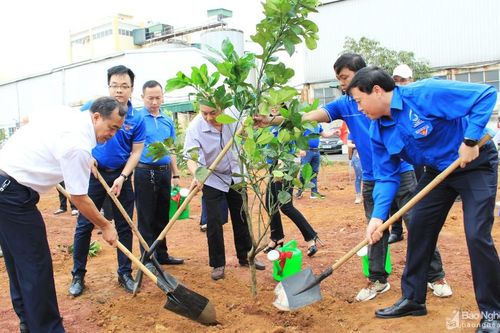 Đoàn Khối Doanh nghiệp tỉnh hưởng ứng đợt thi đua cao điểm Tháng Thanh niên