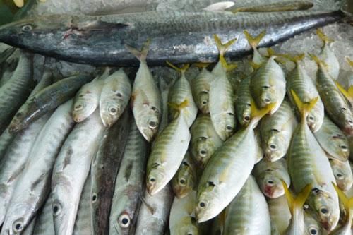 Ba nguyên tắc nhận biết cá ướp hàn the, urê