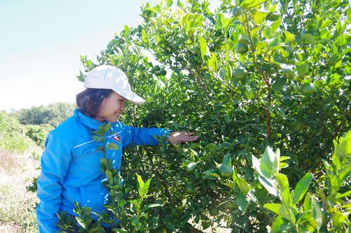 Bắt đất cằn 'nở hoa'