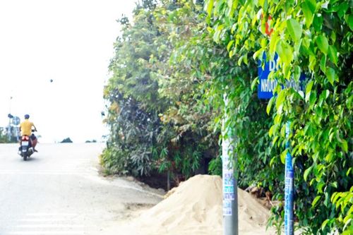 Biển báo bị cây xanh che khuất