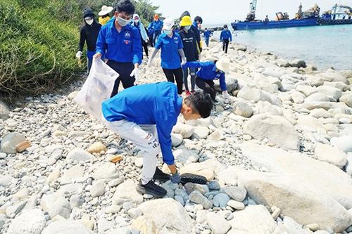 Tổ chức làm sạch bờ biển khu vực đảo Hòn Mun