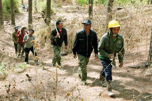Phục hồi rừng - Con đường dẫn tới khôi phục kinh tế và hạnh phúc