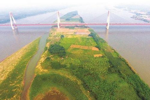 Phương án sơ bộ sử dụng đất tại 8 khu vực bãi sông Hồng: Khả thi với cách tiếp cận mới