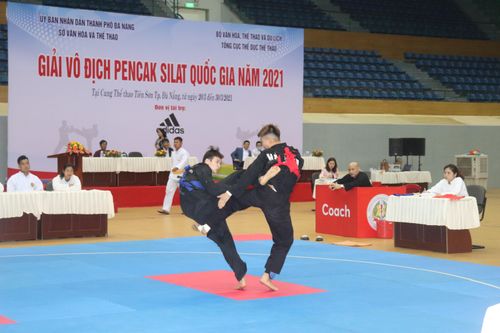 300 VĐV tham dự Giải vô địch Pencak Silat quốc gia