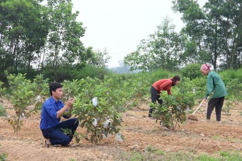 Khởi nghiệp trên quê hương Lý Tự Trọng