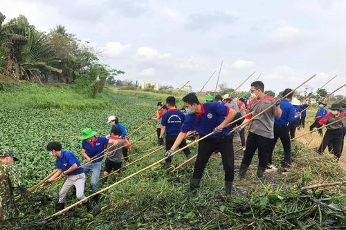Gần 1.000 sinh viên hưởng ứng chương trình 'Ngày Chủ Nhật Xanh'