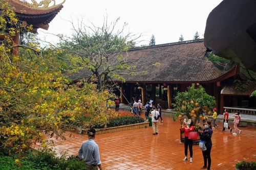 Sắc xuân trên non thiêng Yên Tử
