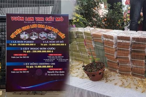 Giao dịch lan Var trăm tỷ: Người bán có phải nộp thuế?