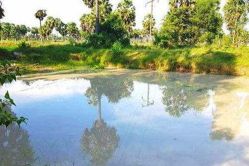 Hà Tĩnh: Một học sinh lớp 4 bị đuối nước thương tâm trong ao của gia đình