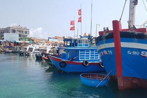 Cần 400 tỷ đồng để xây dựng khu neo đậu tránh trú bão kết hợp cảng cá Tịnh Hòa