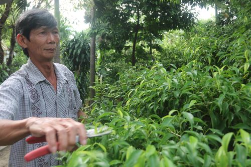 Vụ 'đền bù đất thấp hơn giá thị trường 1.000 lần': Hoãn tòa vì lãnh đạo quận bận họp