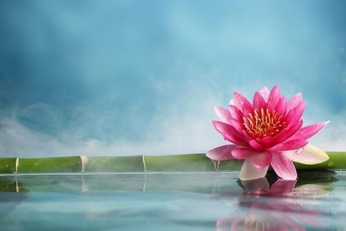 Lời Phật dạy về chữ tâm