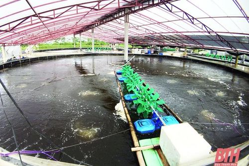 Xây dựng các mô hình nuôi trồng thủy sản thích ứng với biến đổi khí hậu