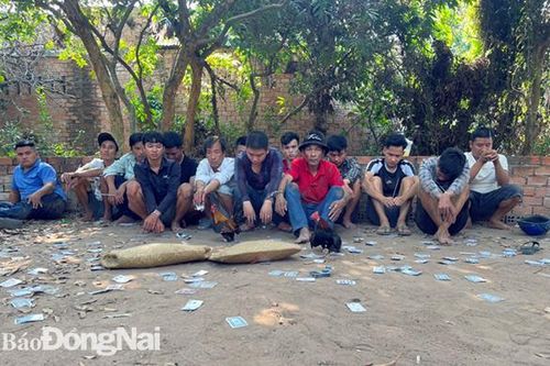Triệt phá 2 tụ điểm đá gà ăn tiền tại TP.Biên Hòa và huyện Nhơn Trạch
