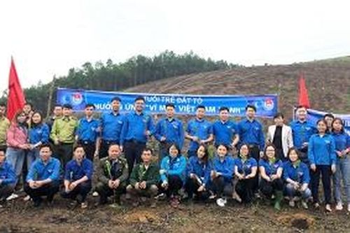 Trồng hơn 3.500 cây xanh 'Vì một Việt Nam xanh'