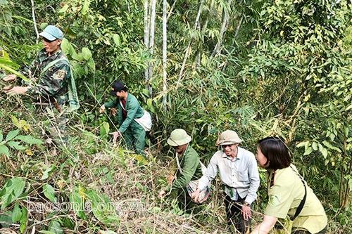 Chiềng Cọ chủ động phòng cháy, chữa cháy rừng